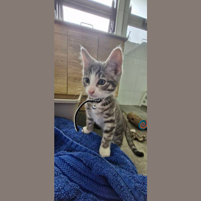 Photo of Jasper