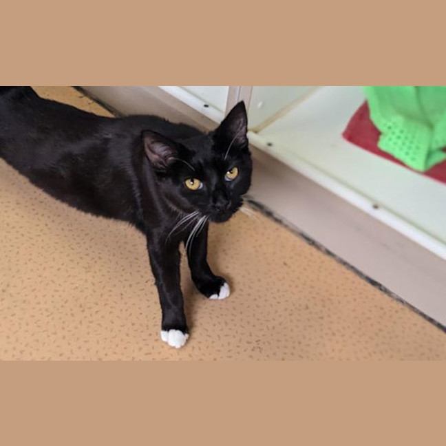 Photo of Betty Boo