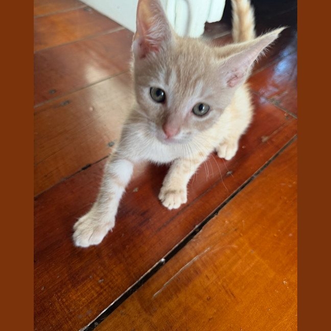 Photo of Peter Rabbit 