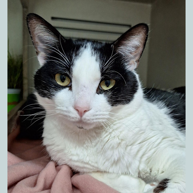 Photo of Tumble