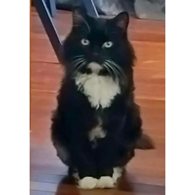 Photo of 11184   Midnight