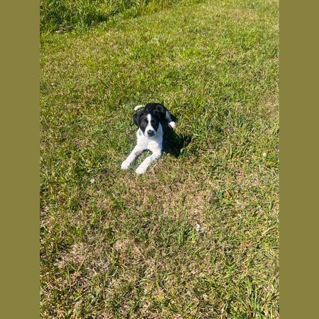 Photo of Lenny