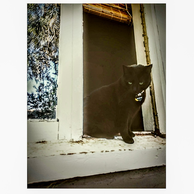 Photo of Winnie