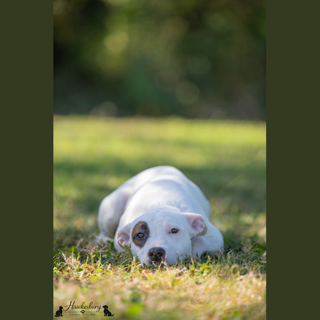 Photo of Gemma