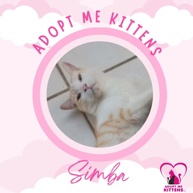Photo of Simba
