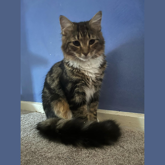 Photo of Lily