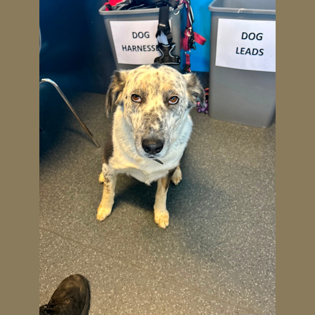 Photo of Kung Fu Panda 