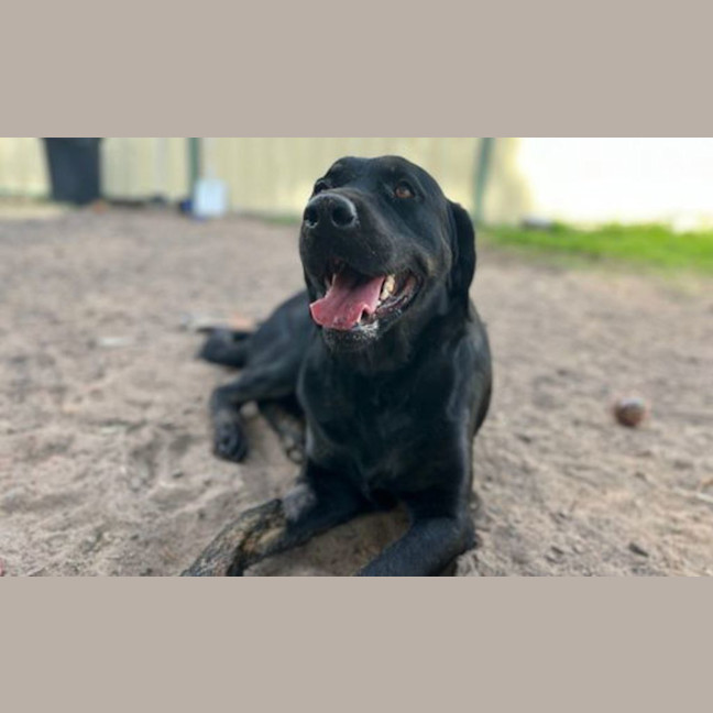 Photo of Ellie