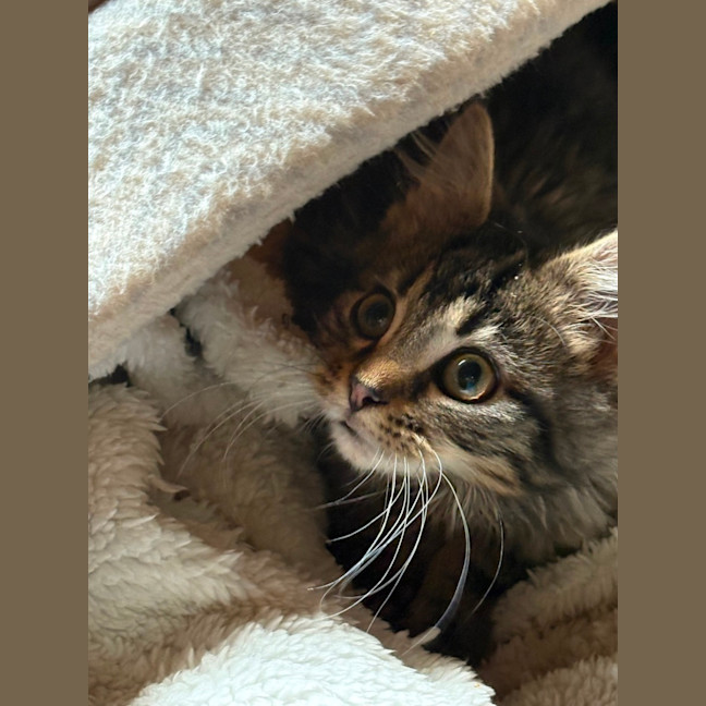 Photo of Larry 😻😻💙💙