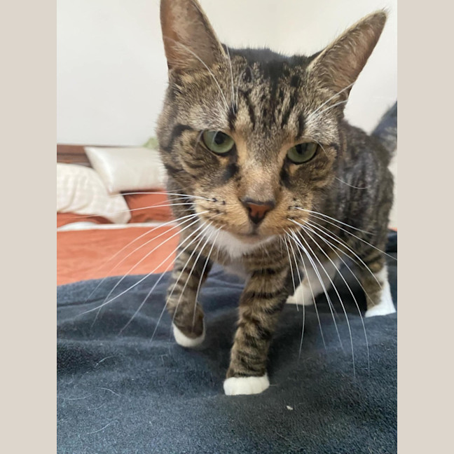 Photo of Chester   Located In Richmond