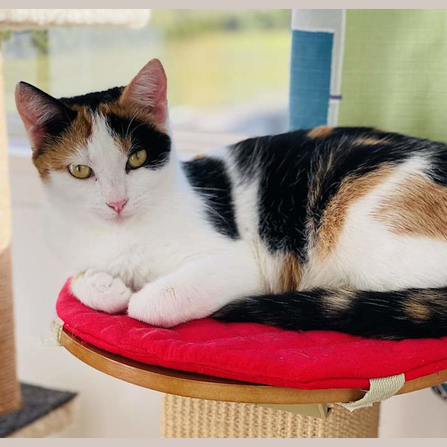 Photo of Mumm