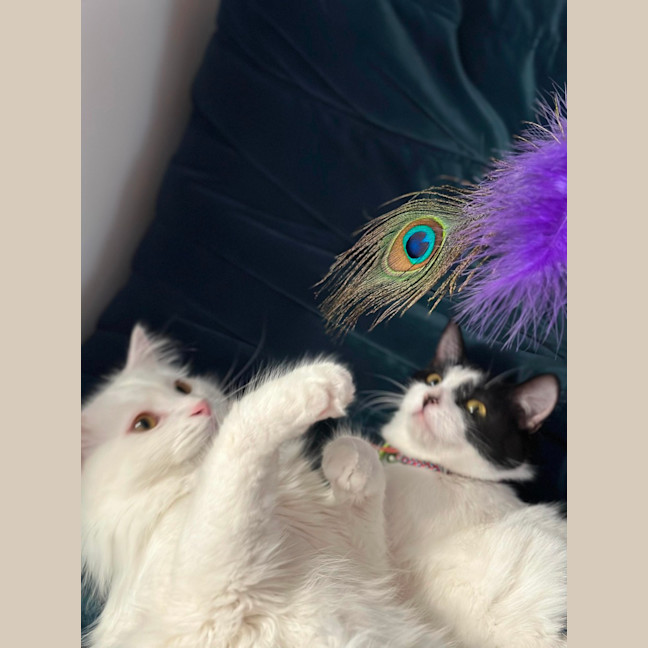 Photo of Will & Grace