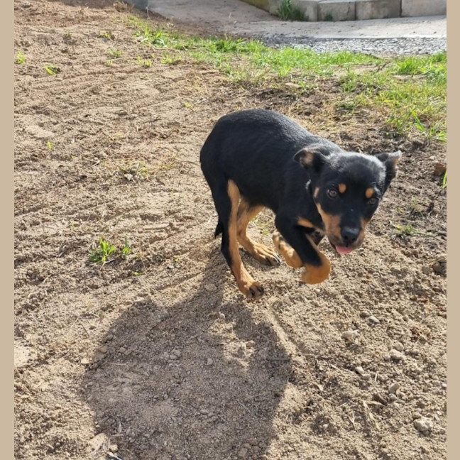 Photo of Bonnie