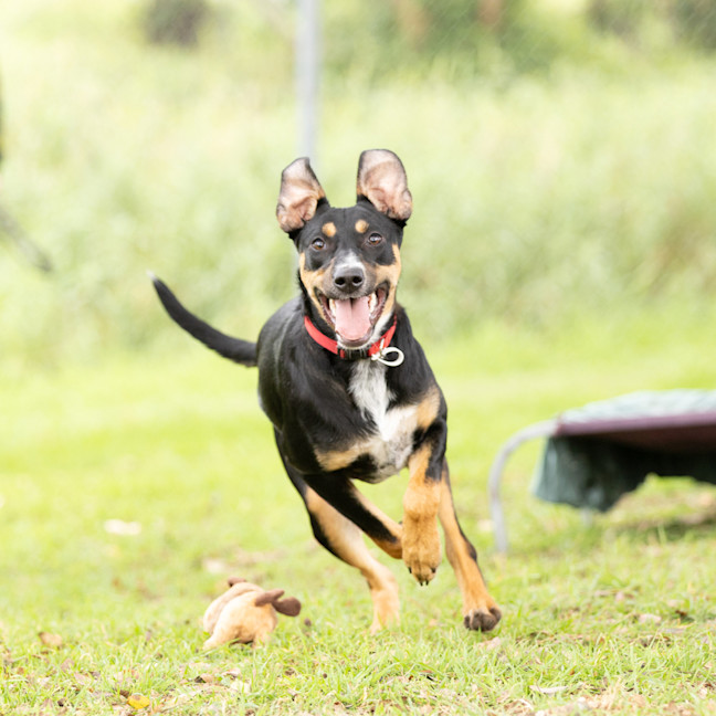 Photo of Delilah