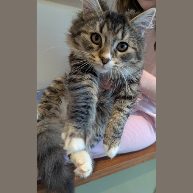 Photo of Alice