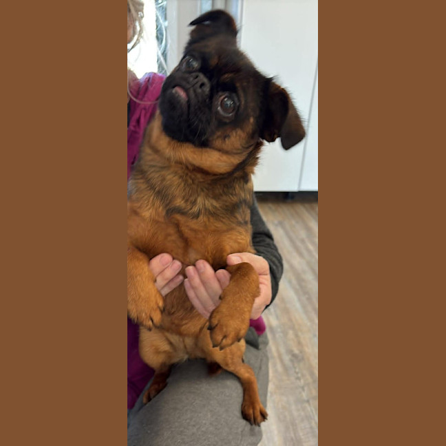 Photo of Wanda
