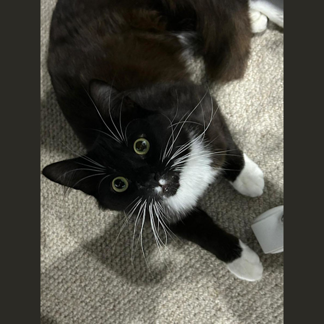 Photo of Kevin