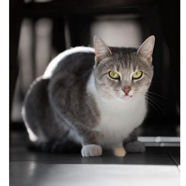 Photo of 13399   Nova