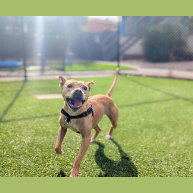 Photo of Lulu