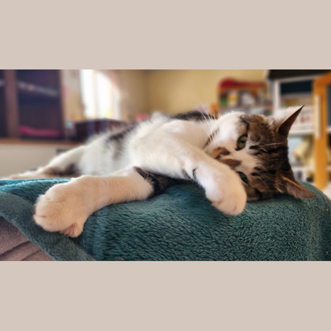 Photo of Thor. A Laugh A Minute!