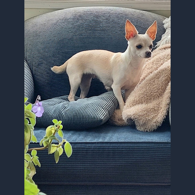 Photo of Agnes