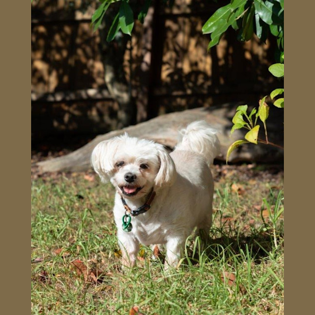 Photo of Wally And Ollie Peggotty