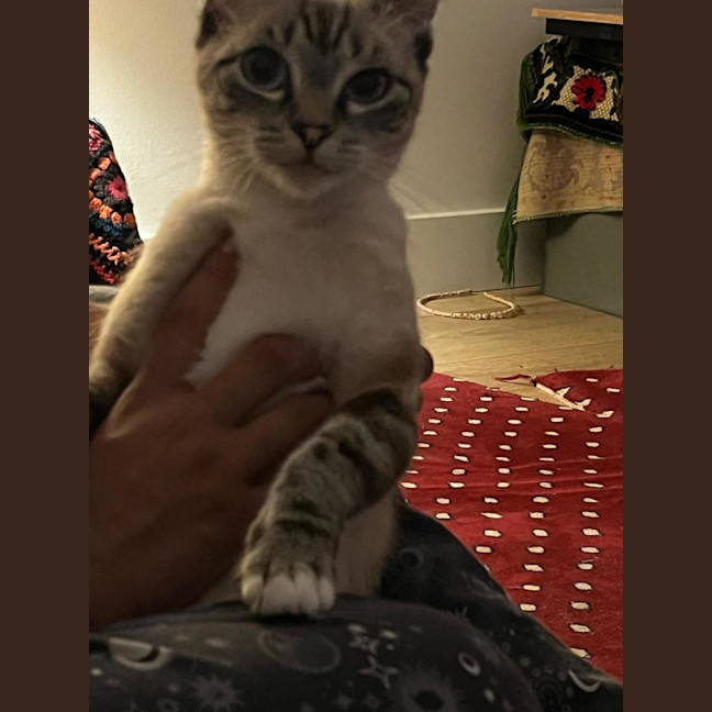 Photo of Pearl