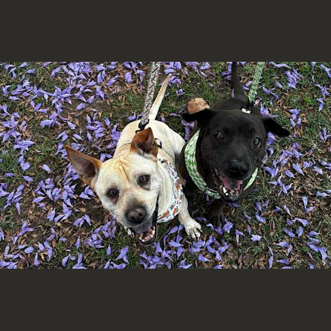 Photo of Mister And Kaydo