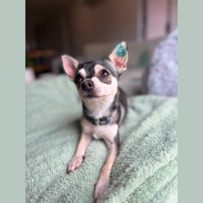 Photo of Pablo