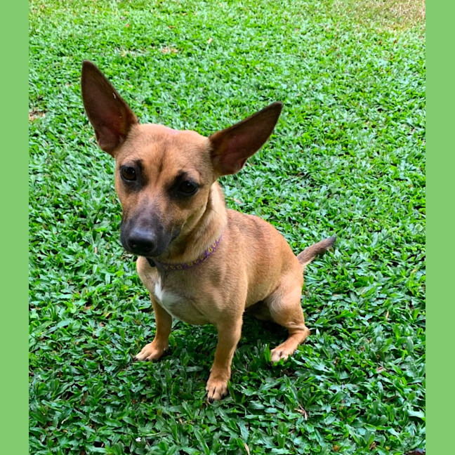 Photo of Norman & Hilda 