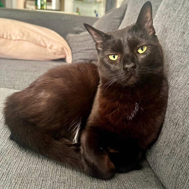 Photo of 7659   Jaguar