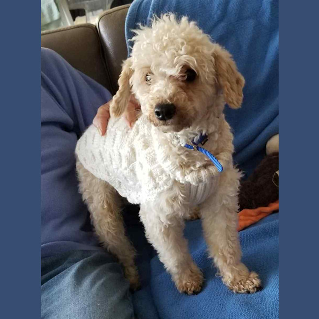 Photo of Reggie
