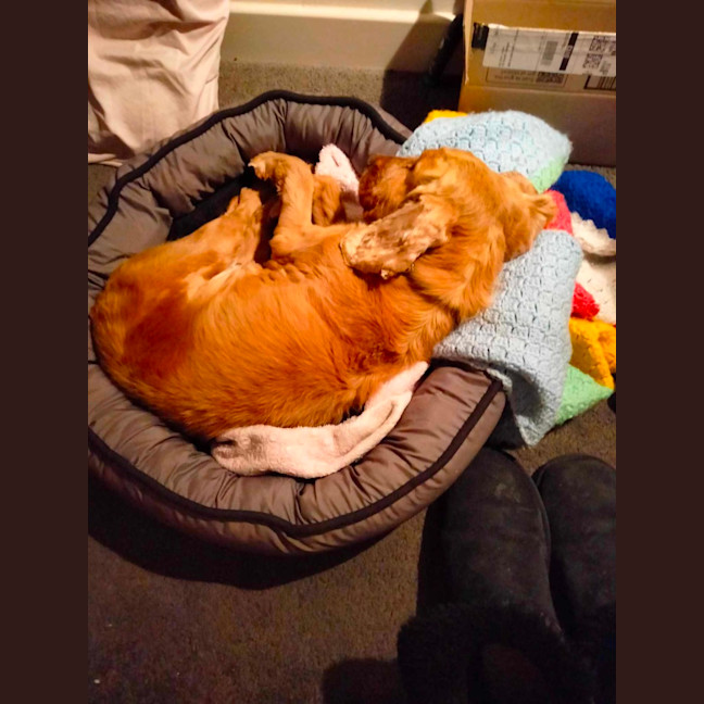 Photo of Mississippi