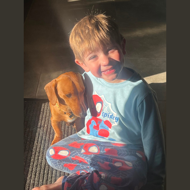 Photo of Hank The Charmer 