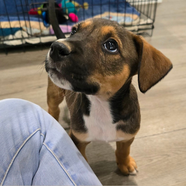 Photo of Marceline The Vampire Queen