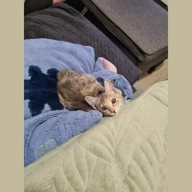 Photo of Nora