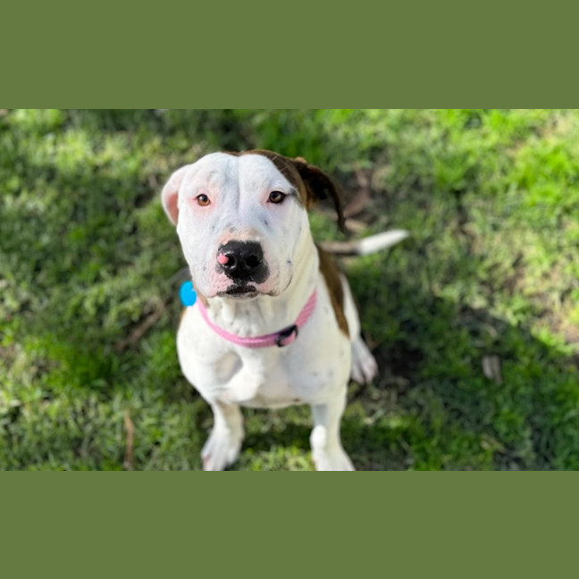 Photo of Wilma
