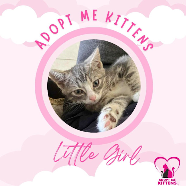 Photo of Little Girl