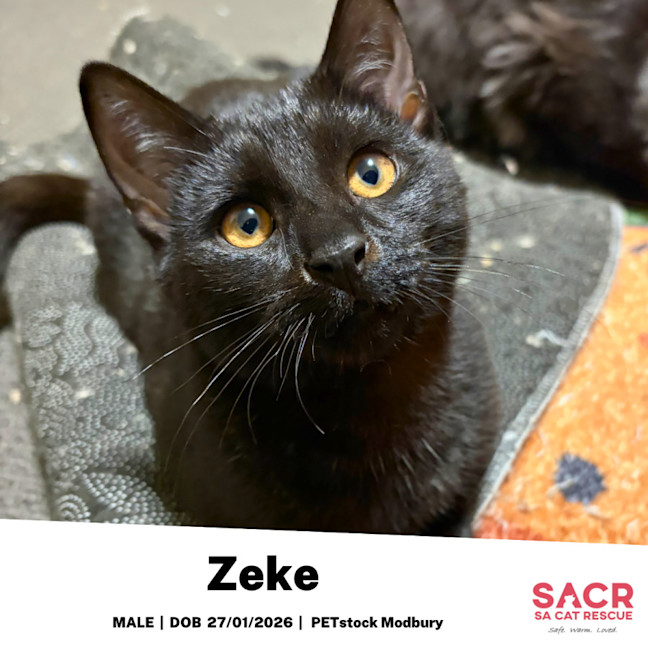 Photo of Zeke