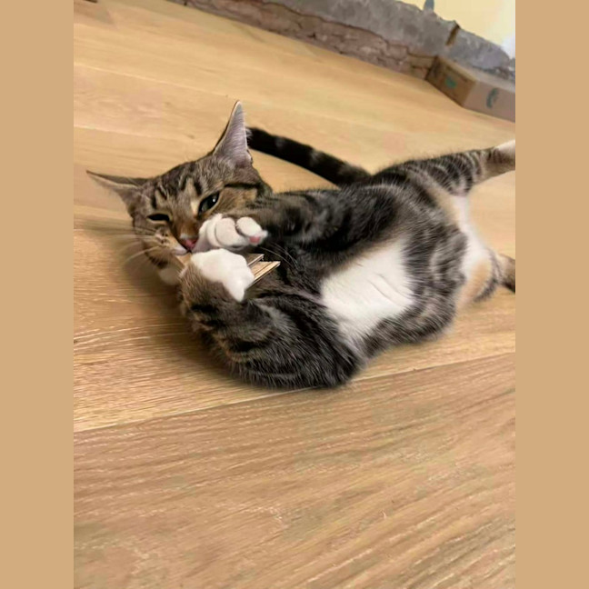 Photo of Little One