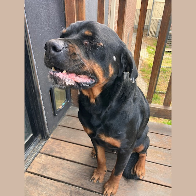 Photo of Zeus