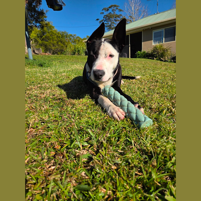 Photo of Annie