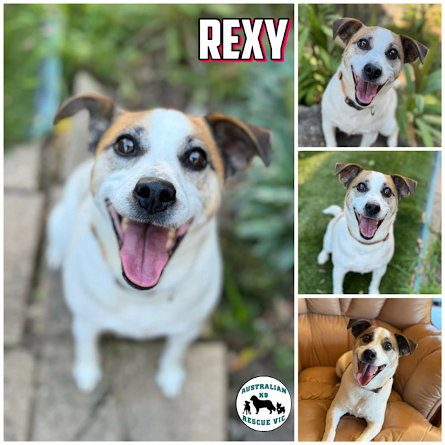 Photo of Rexy