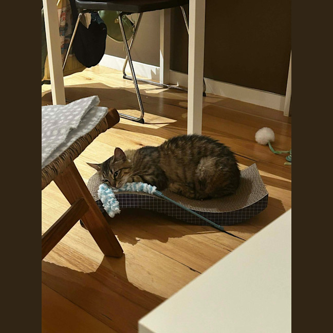 Photo of Rhea