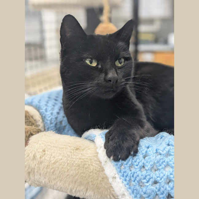 Photo of 🌮 Frankie 6184 🌮