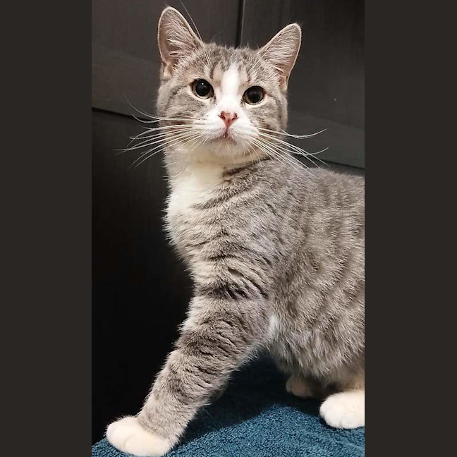 Photo of Bonnie