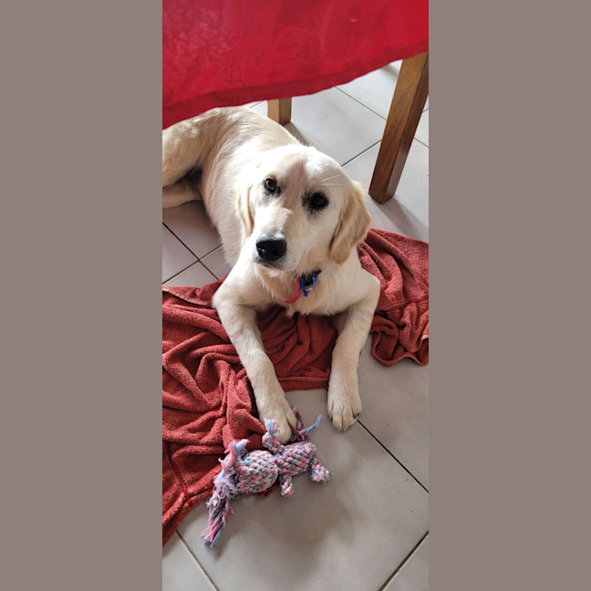Photo of Penny