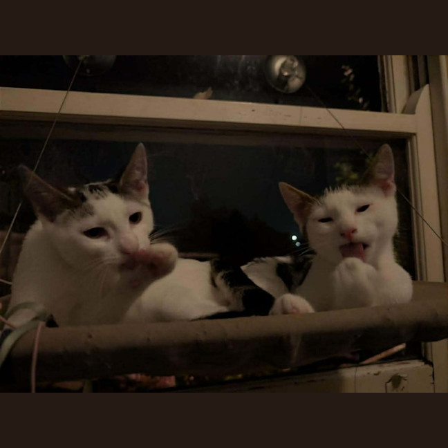 Photo of Pringles + Paella