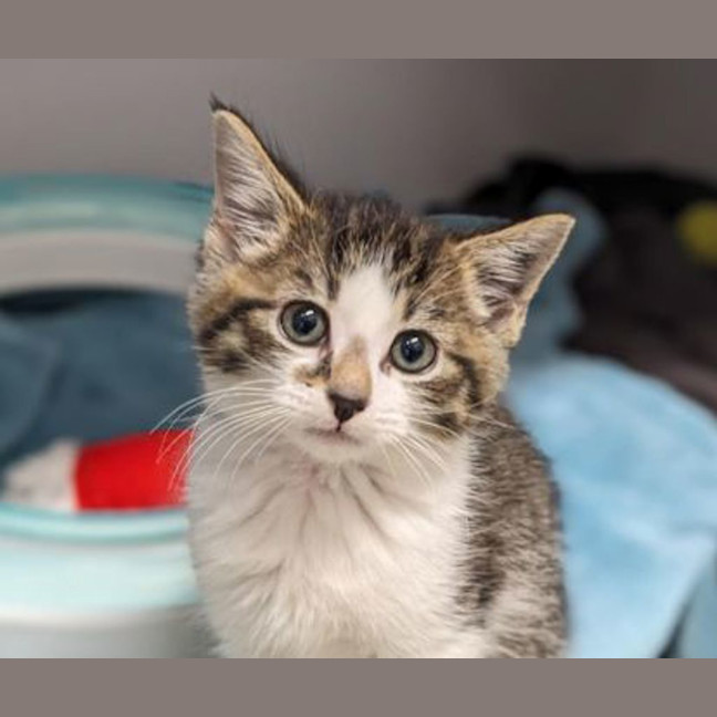 Photo of George