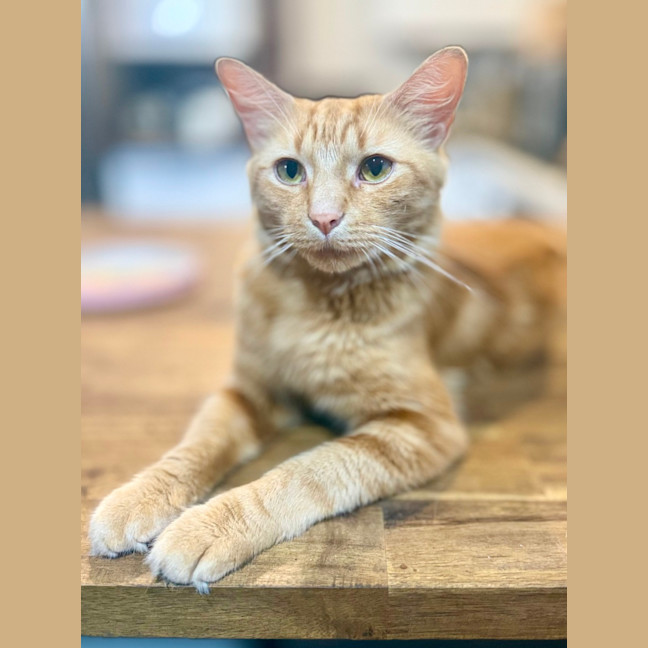 Photo of Tiggy